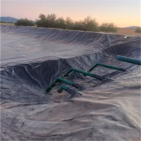 쓰레기 덮힌 현장 불침투성 환경 보호 HDPE Geomembrane